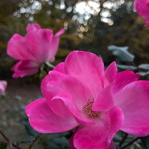 Thank you for checking out my closet!